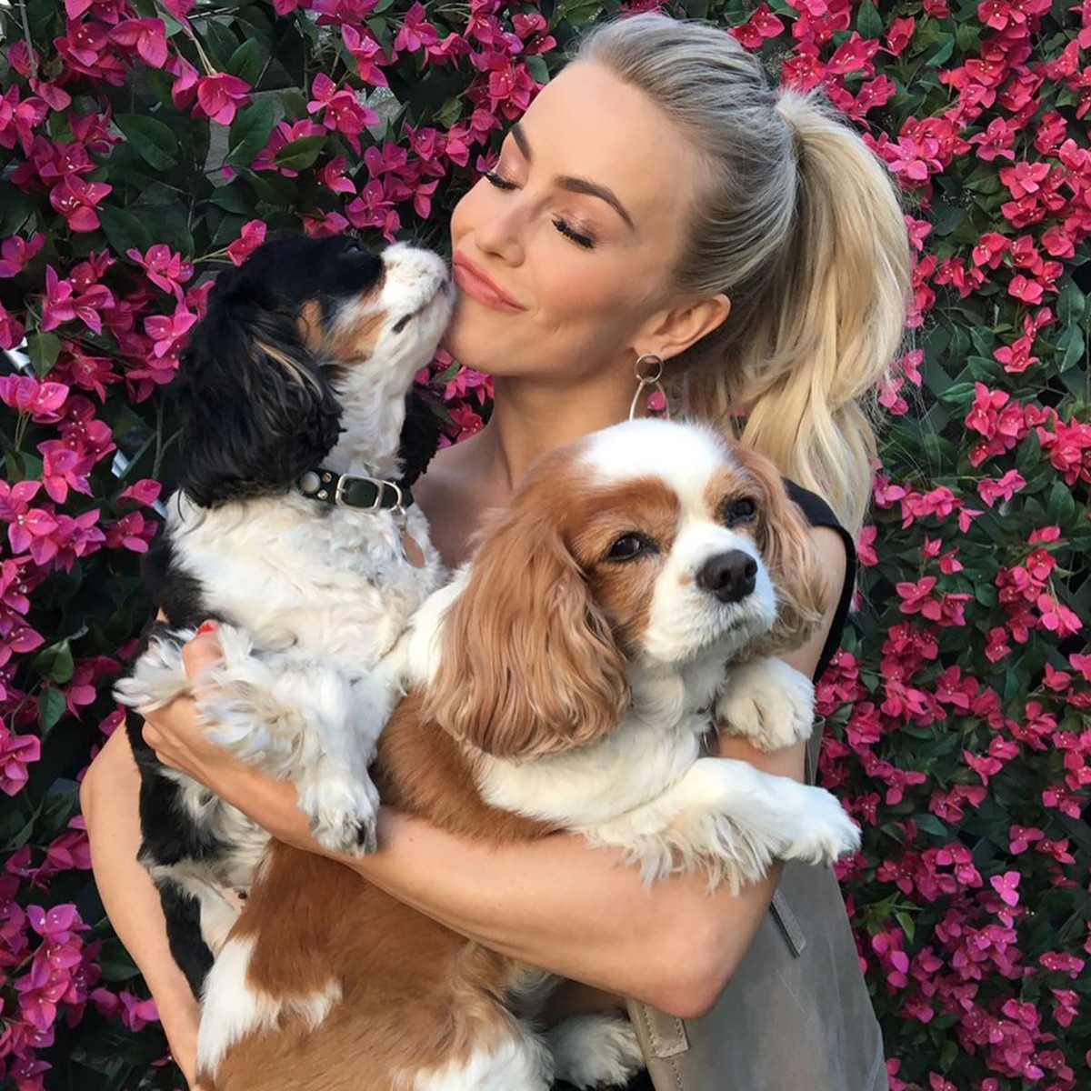 Julianne Hough, Köpeklerinin Nasıl Öldüğüne İlişkin Yürek Burkan Hikayeyi Detaylandırıyor