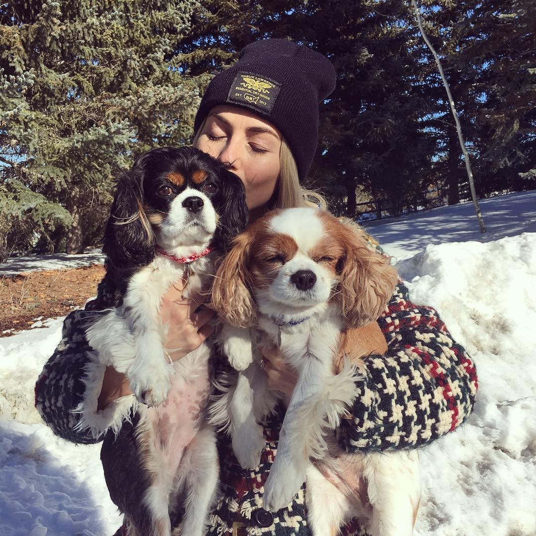 What Happened to Julianne Hough’s Dogs? Everything to Know