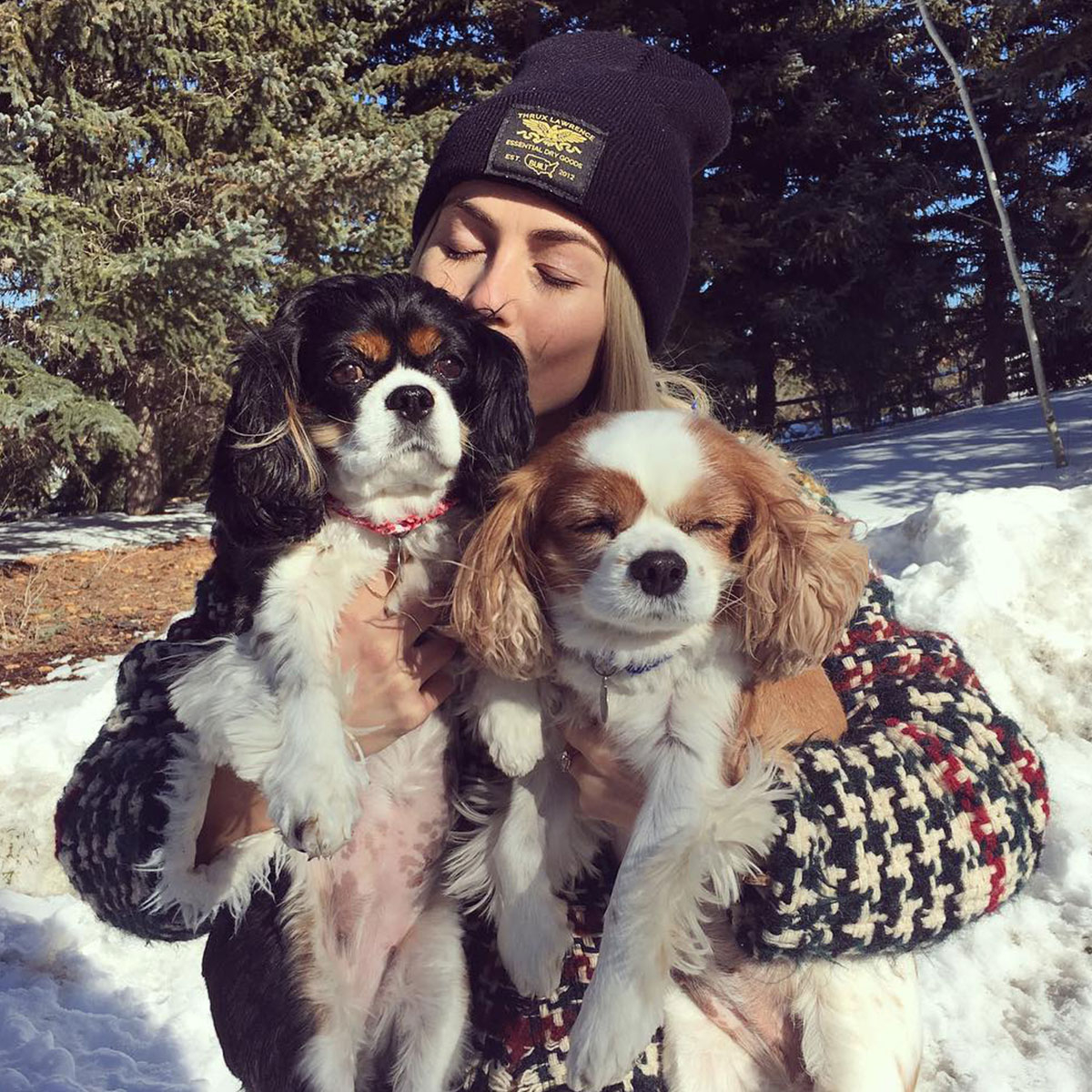 What Happened to Julianne Hough’s Dogs? Everything to Know