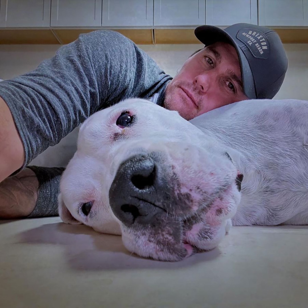 Josh Hall Breaks Silence on Christina Hall Divorce Josh Hall Breaks Silence on Christina Hall Divorce