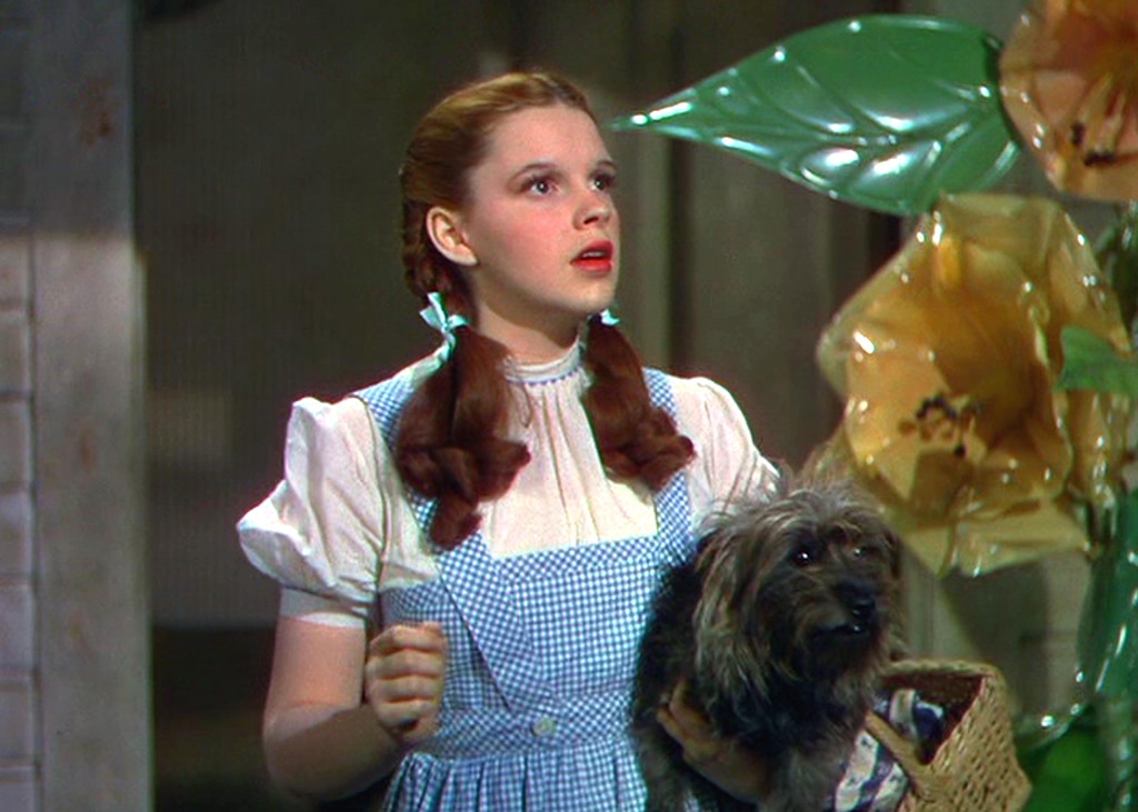 ความลับของ Wizard of Oz เหล่านี้จะทำให้คุณรู้สึกเหมือนอยู่บ้าน