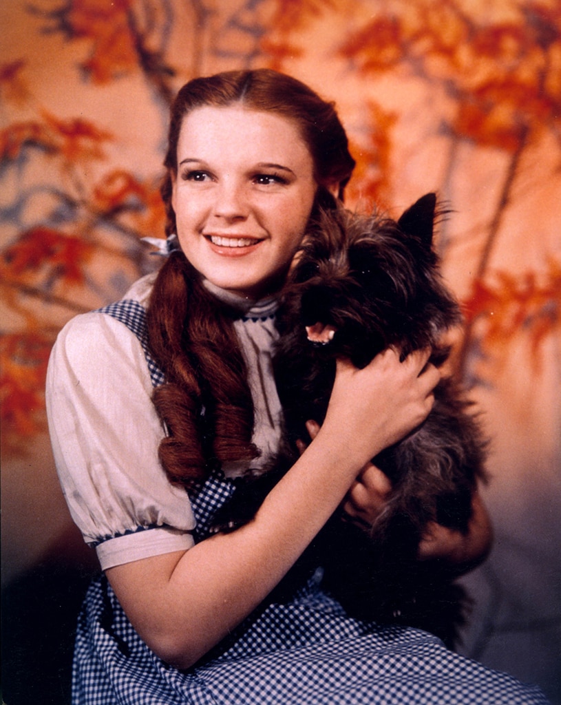 These Wizard of Oz Secrets Will Make You Feel Right at Home