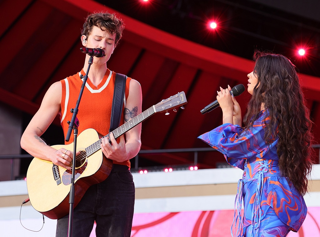 Shawn Mendes Reveals He Was "About to Be a Father" in New Single