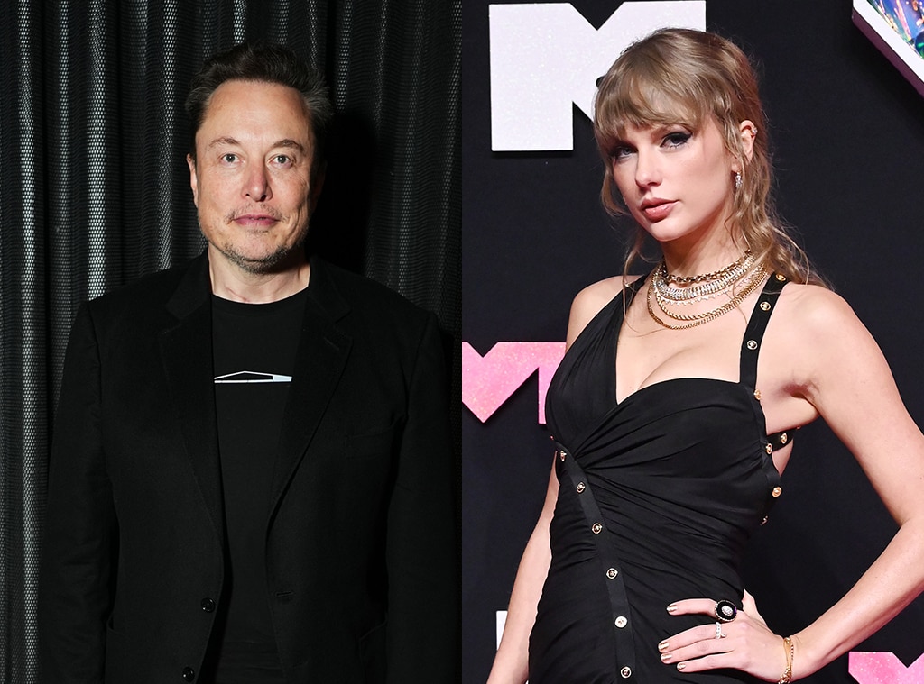 Elon Musk Offers “Childless Cat Lady” Taylor Swift One of His Kids