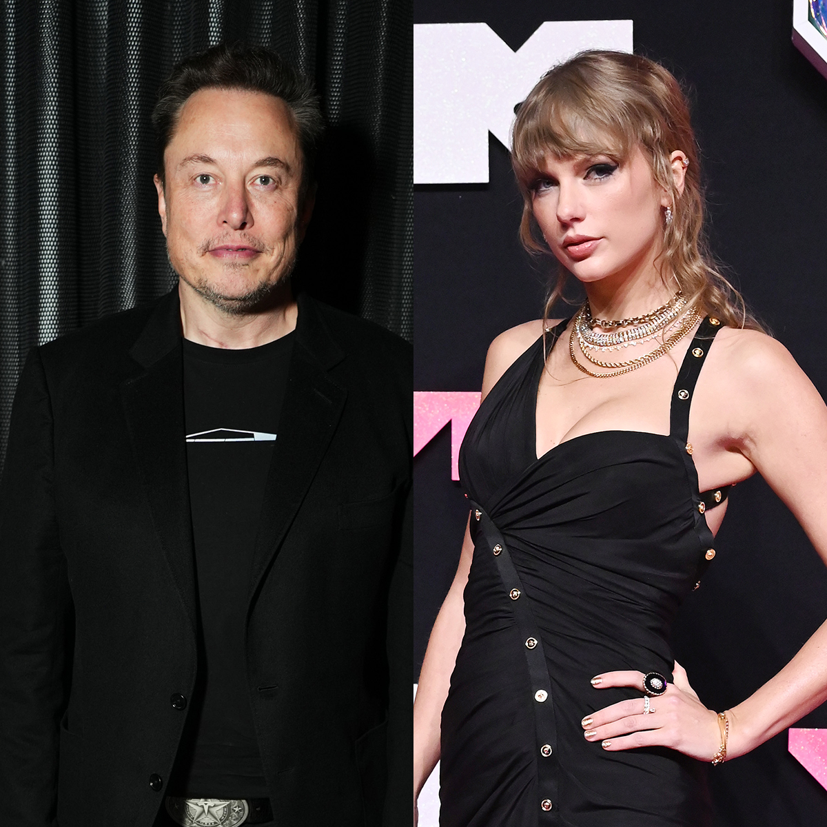 Elon Musk Offers “Childless Cat Lady” Taylor Swift One of His Kids