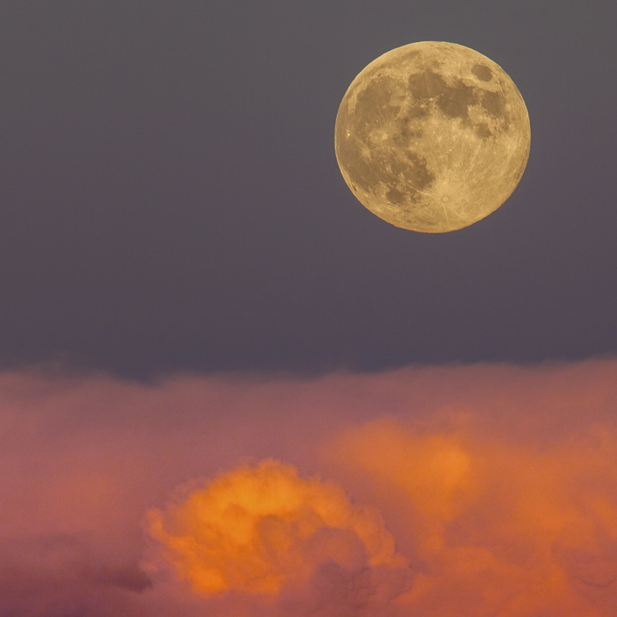 Photos from Predictions for New Moon in Libra