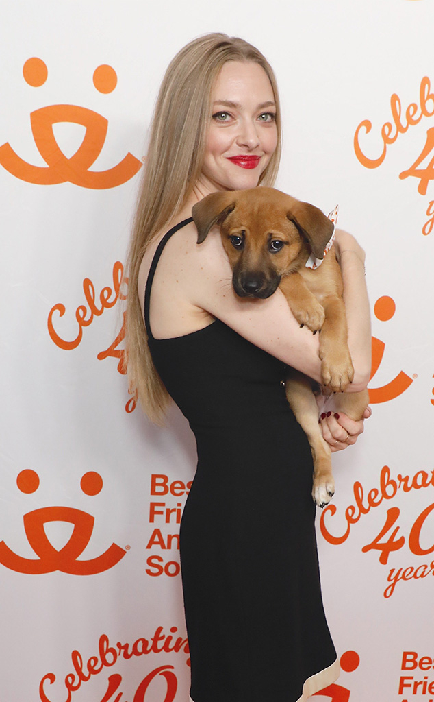 Amanda Seyfried, Big Pic