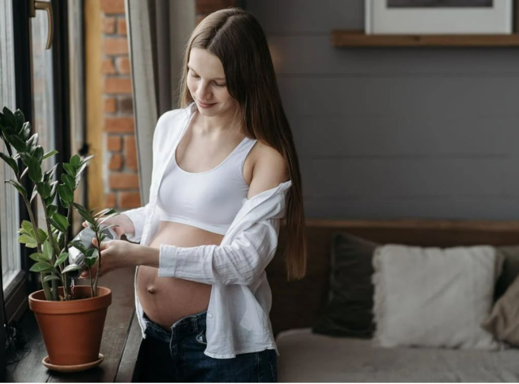 Paid Content Ascend Agency Momcozy