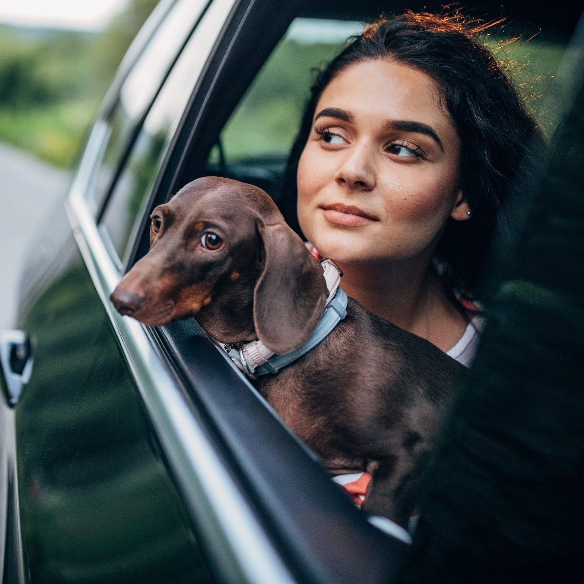 Best Early Amazon Prime Day Pet Deals Starting at 