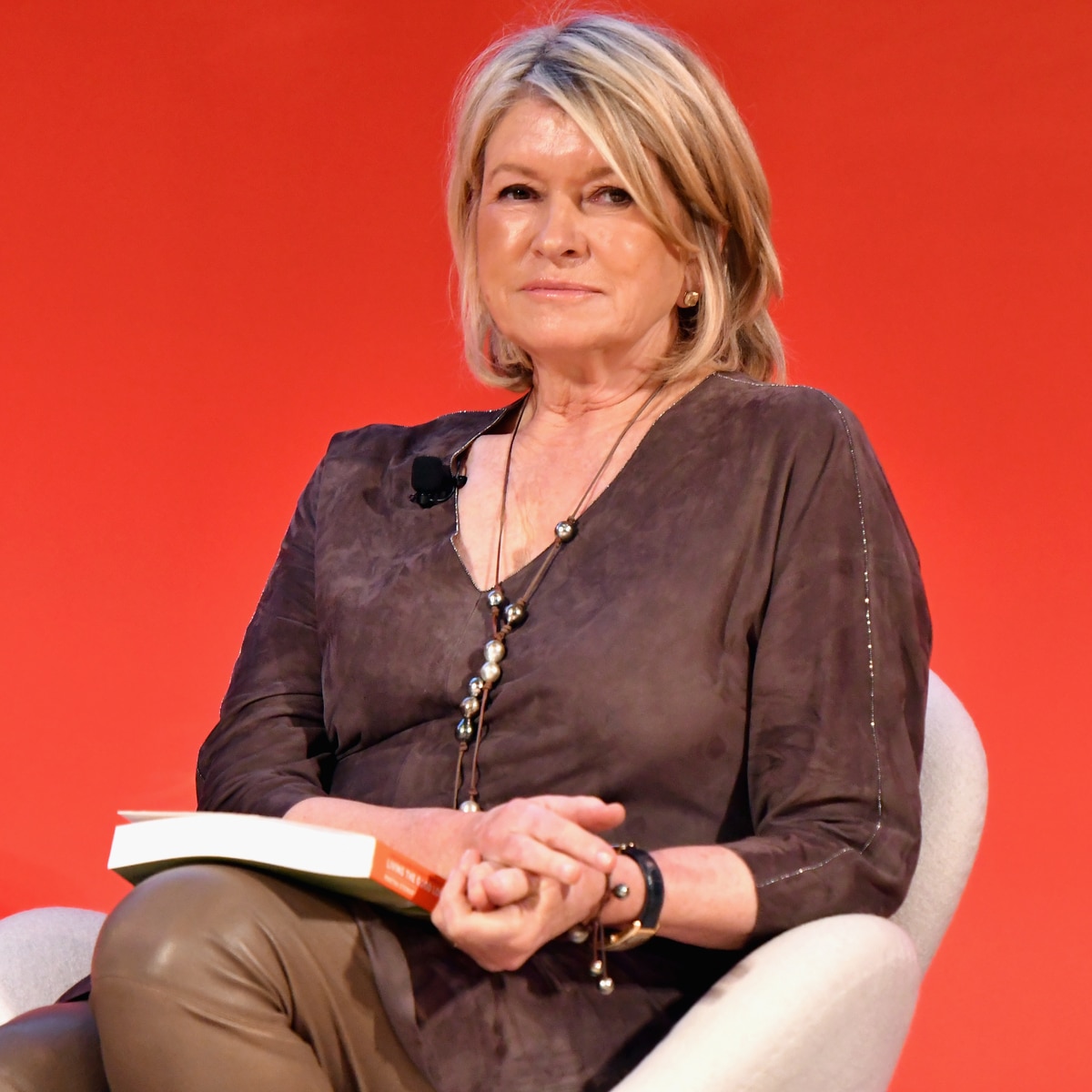 Martha Stewart Says Prosecutors Should Be "Put in a Cuisinart"