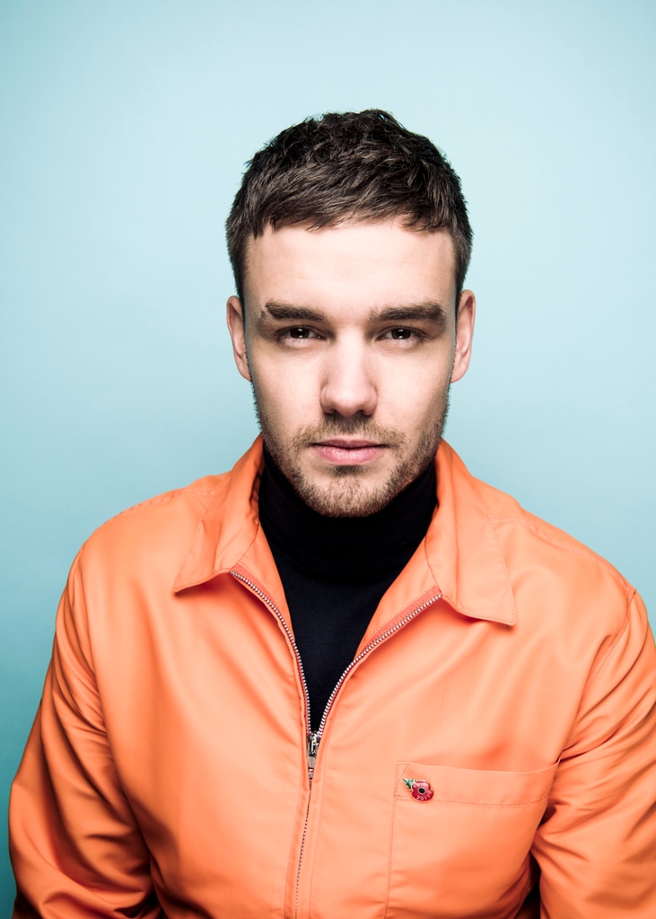 Liam Payne's Posthumous Song Pulled Over Family Concerns