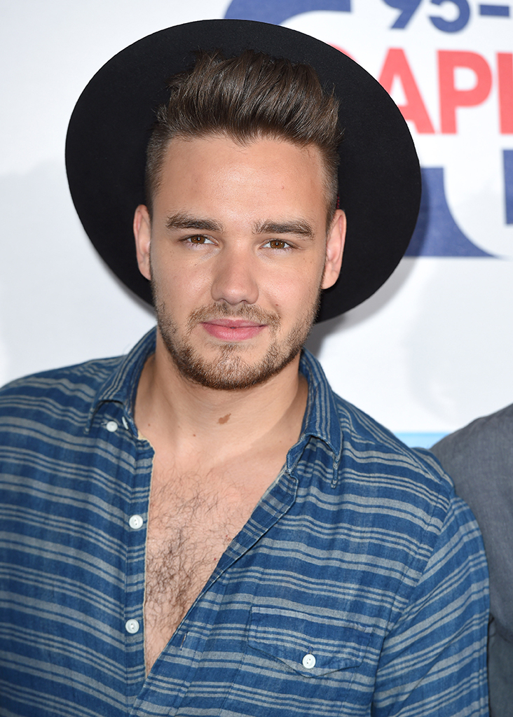 Liam Payne, 2015