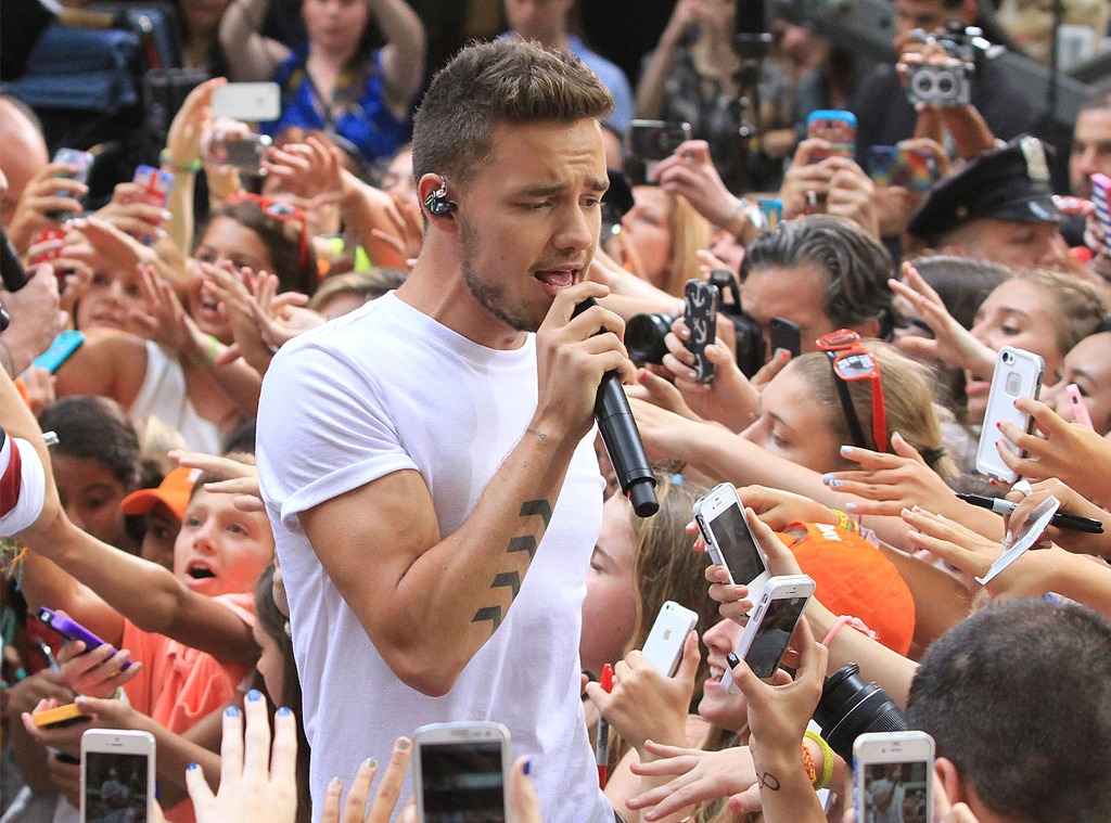 Liam Payne, 2013