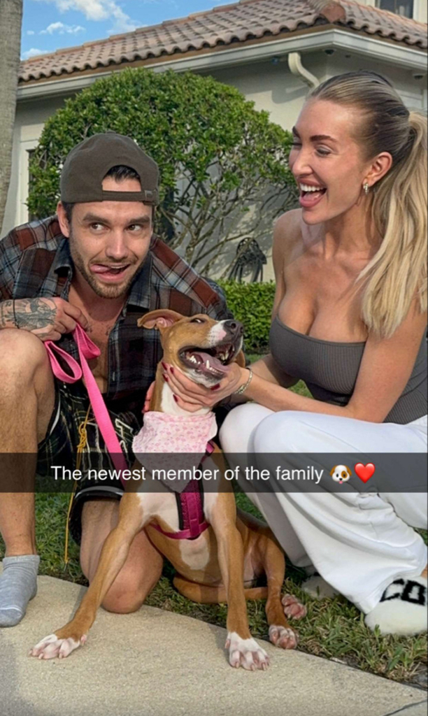 Liam Payne, Kate Cassidy, Nala