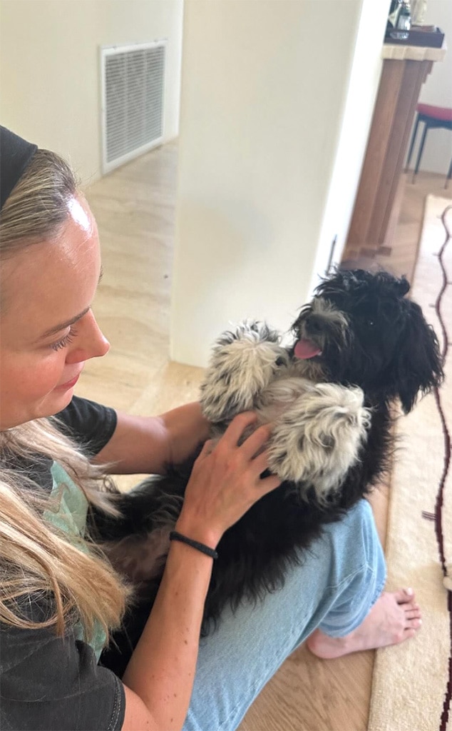 Brie Larson Introduces Adorable New Member to Her Family