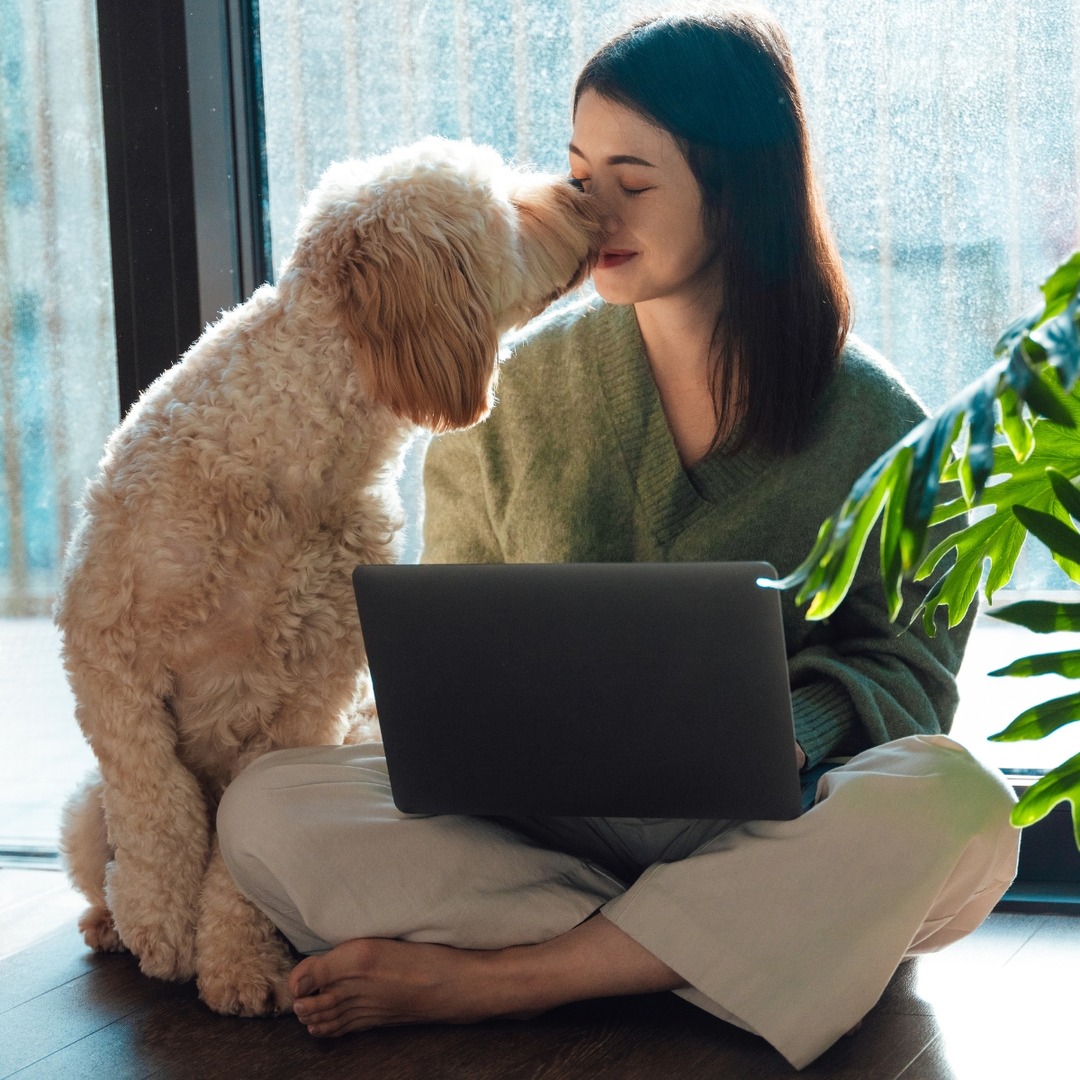 October Prime Day 2024: Fetch the 29 Best Pet Deals & Score Huge Savings on Furbo, Purina, Bissell & More – E! Online October Prime Day 2024: Fetch the 29 Best Pet Deals & Score Huge Savings on Furbo, Purina, Bissell & More – E! Online