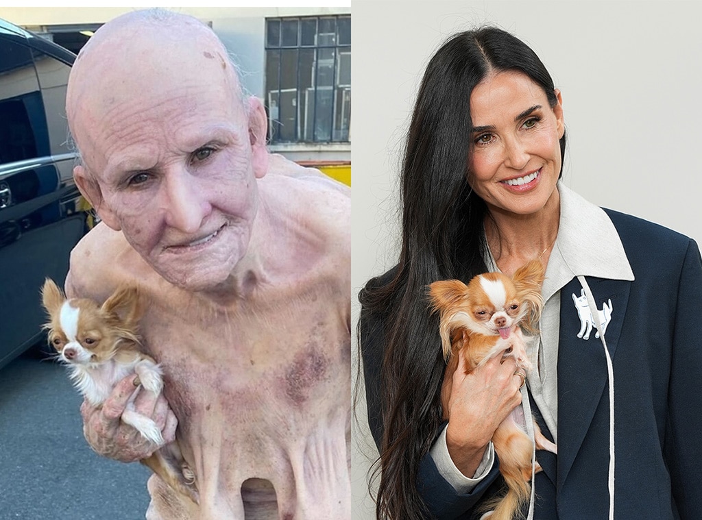 Demi Moore gibt einen erschütternden Blick auf die Substanztransformation