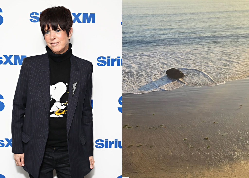 Diane Warren, Los Angeles Fires