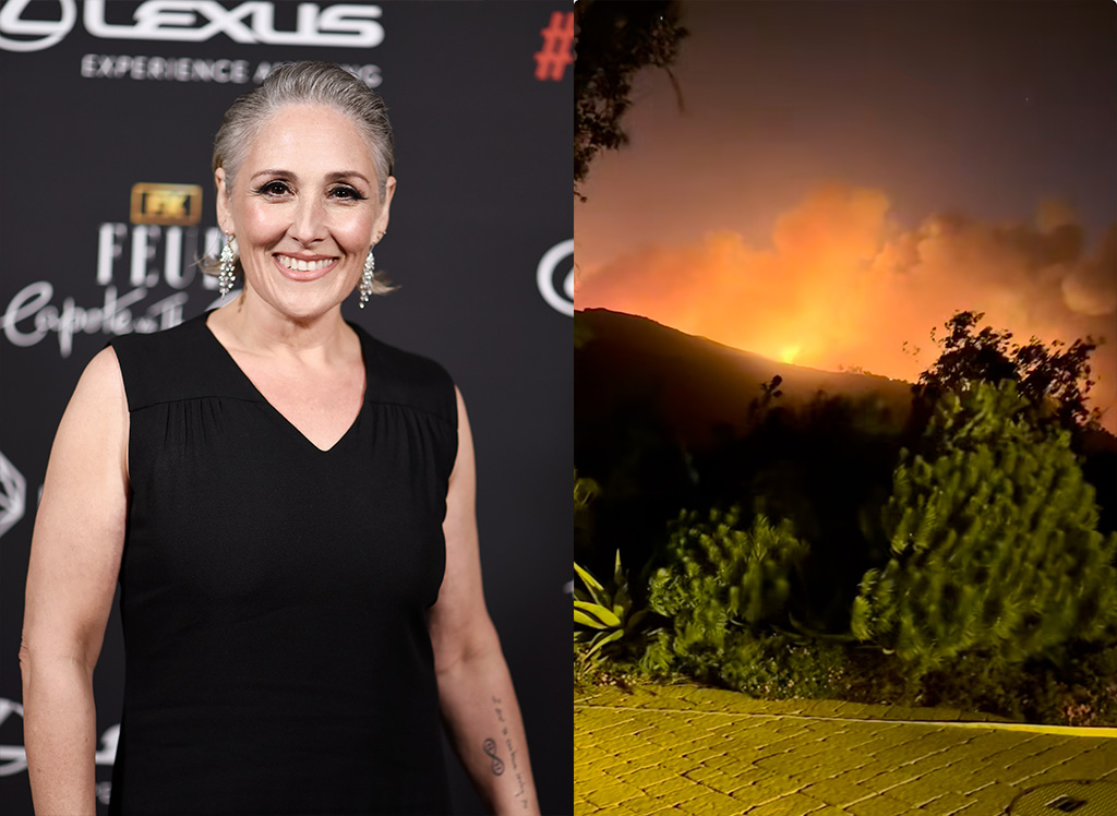 Ricki Lake, Los Angeles Fires