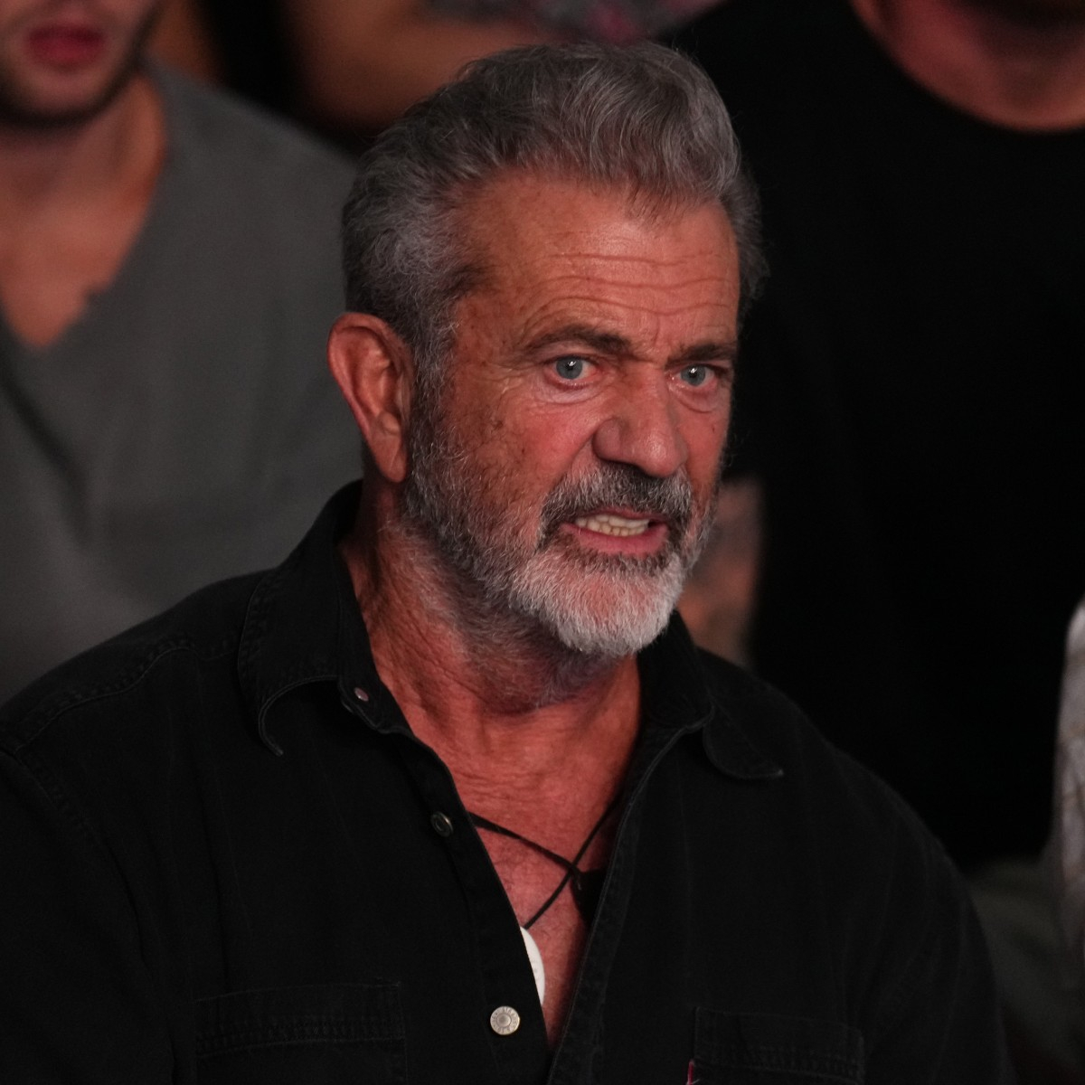 Mel Gibson’s Home Burned Down During His Joe Rogan Interview