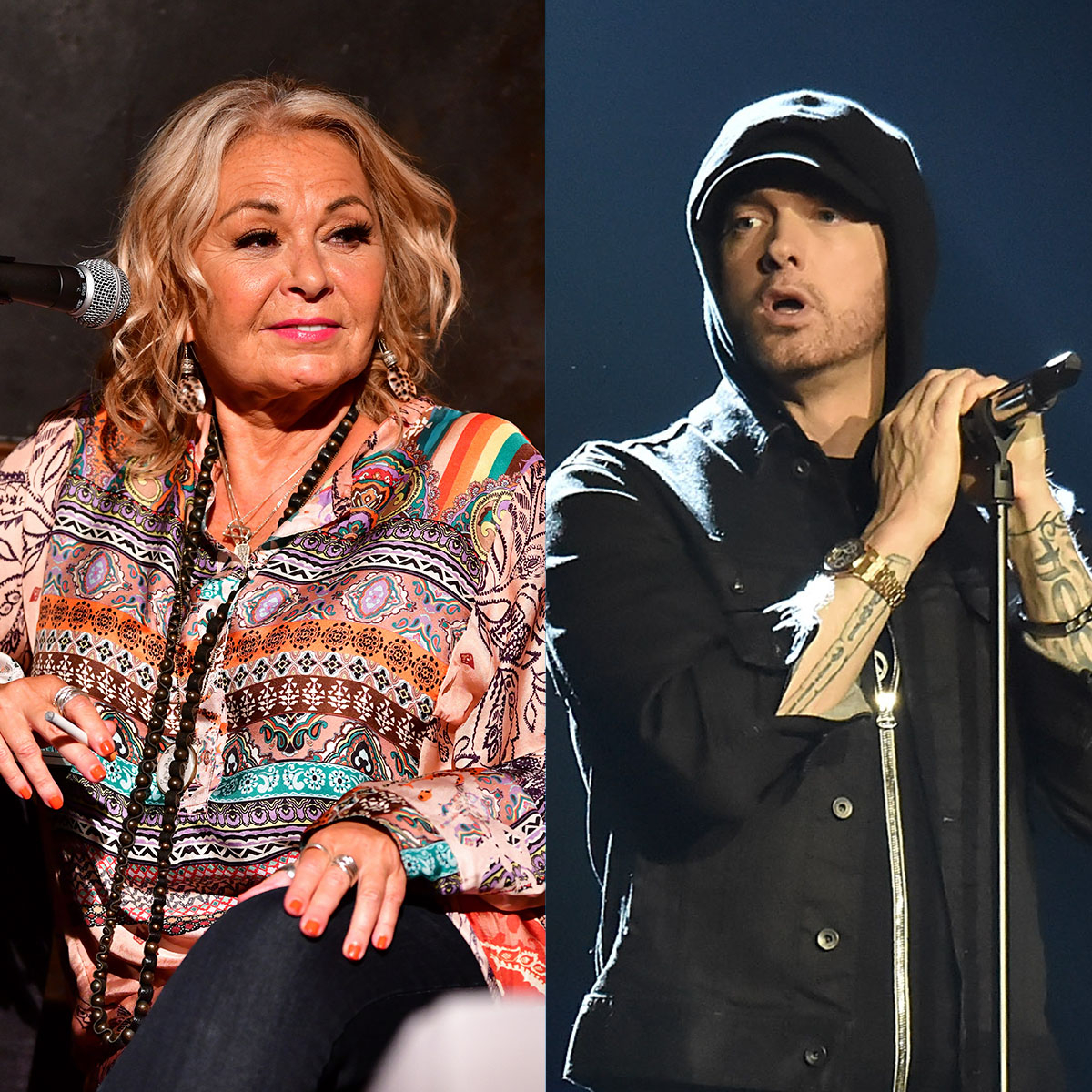 Roseanne Barr Disses Eminem in Donald Trump Rap “Daddy's Home”, image size:1200x1200