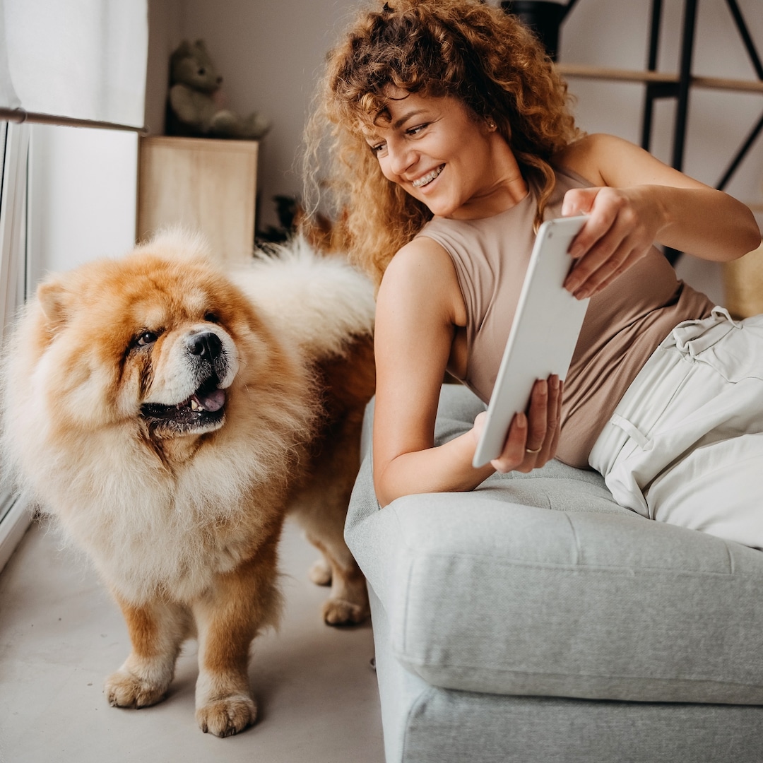 The Top 28 Amazon Finds This Month: Pet Hair Solutions for Your Home, Viral Beauty Products & More – E! Online The Top 28 Amazon Finds This Month: Pet Hair Solutions for Your Home, Viral Beauty Products & More – E! Online