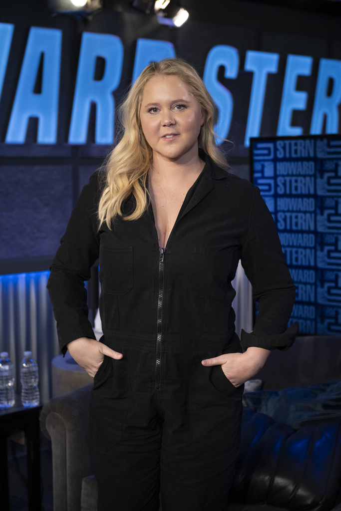 Amy Schumer, Big Pic