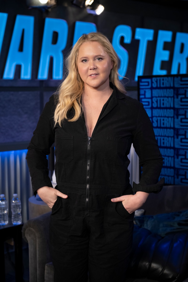 Amy Schumer, Big Pic
