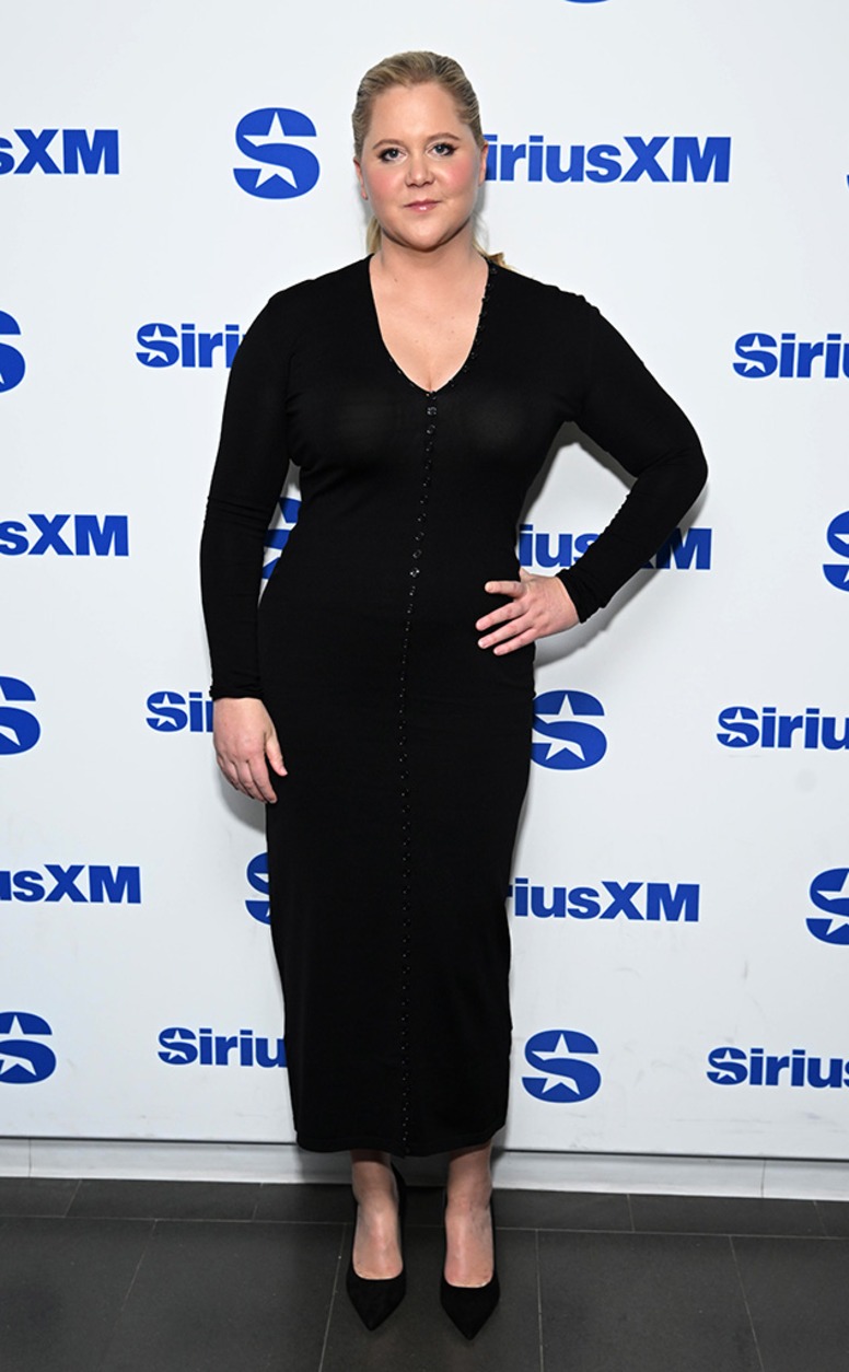 Amy Schumer, Big Pic
