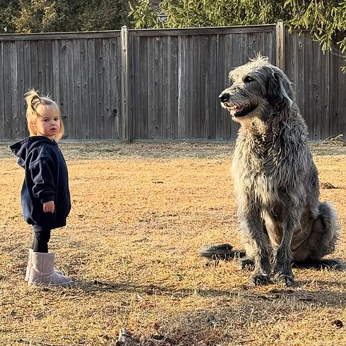 Kylie Kelce, Jason Kelce, Daughter, Dog, Baloo, Instagram, 2025