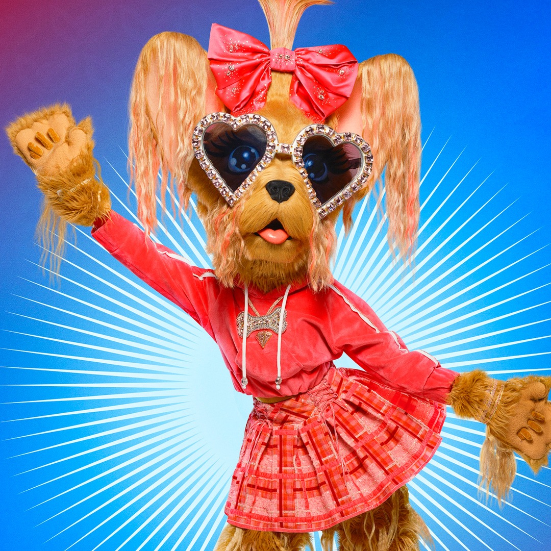 Real Housewives Star Makes Iconic Reveal as Yorkie on The Masked Singer Real Housewives Star Makes Iconic Reveal as Yorkie on The Masked Singer