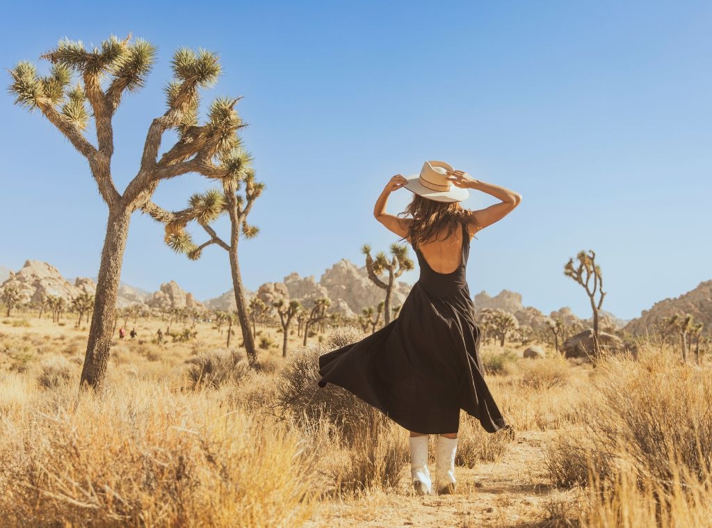 desert vacation hero image.jpg