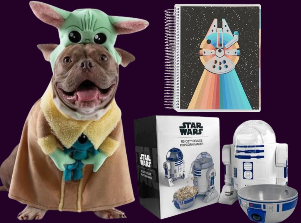 The Most intriguing Star Wars Home and Pet Finds in the Galaxy important image
