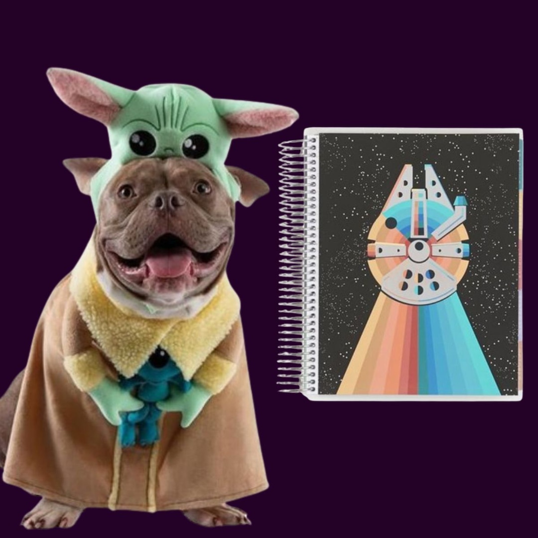 The Best Star Wars Home and Pet Finds in the Galaxy The Best Star Wars Home and Pet Finds in the Galaxy