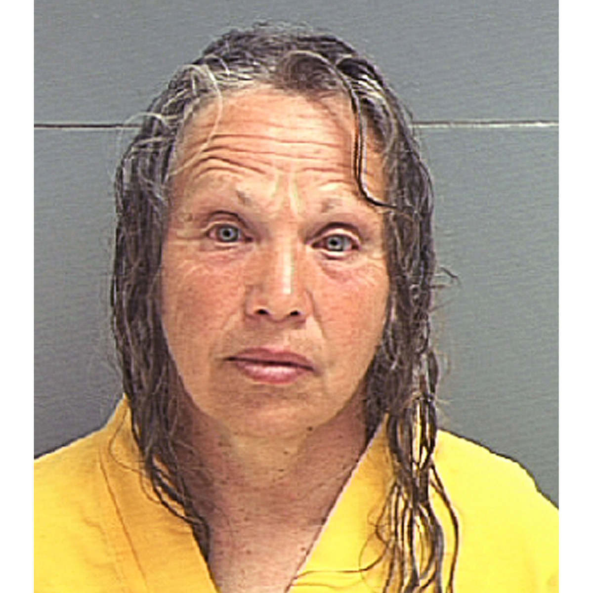 Elizabeth Smart’s Kidnapper Wanda Barzee Arrested