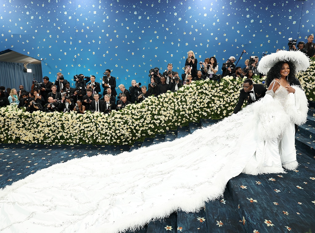 Met Gala 2025: Diana Ross Feather Red Carpet Look Met Gala 2025: Diana Ross Feather Red Carpet Look
