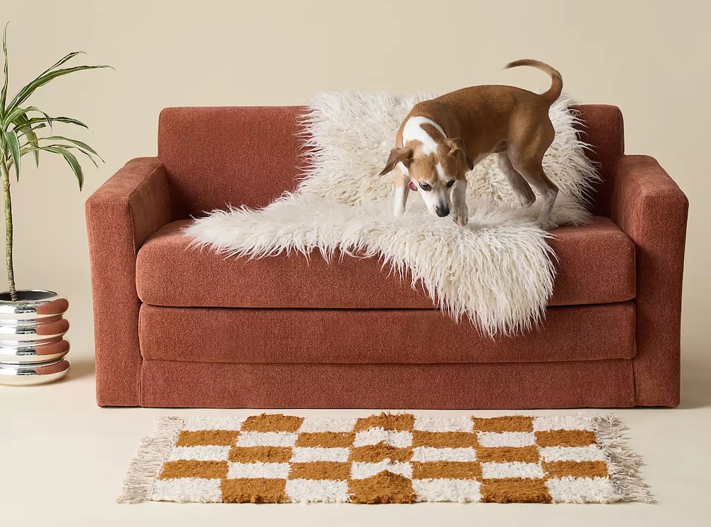 Netto Fold-Out Sleeper Sofa