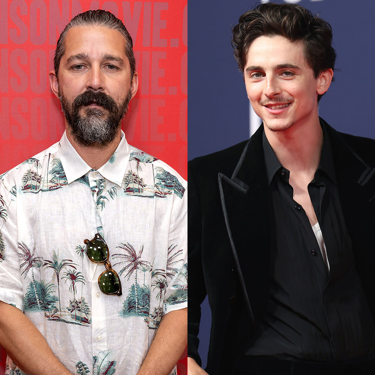 Shia LaBeouf Slams Timothée Chalamet Feud Rumors