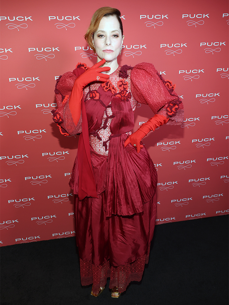 Parker Posey, Big Pic