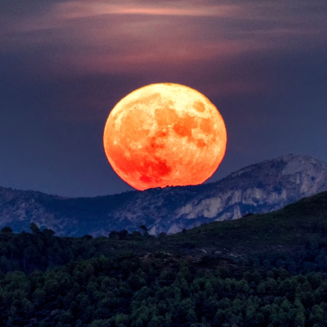 Shop Gemini Season_1200x1200.jpg