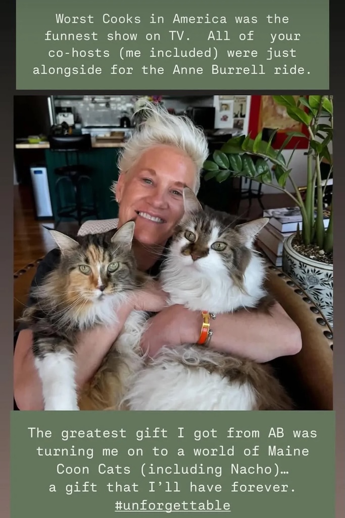 Bobby Flay, Anne Burrell