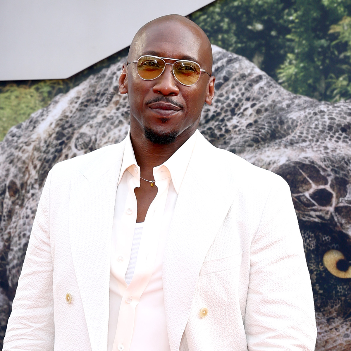 Jurassic World Rebirth Premiere: Celebrities on Red Carpet