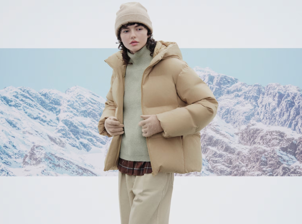 Shop Uniqlo VS. Northface Puffers