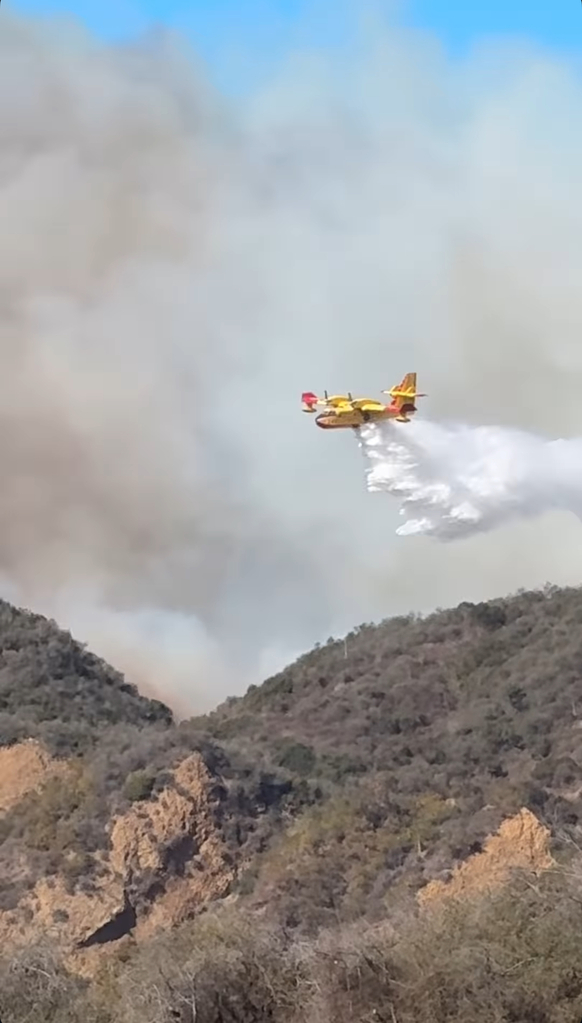 Spencer Pratt, Pacific Palisades wildfire