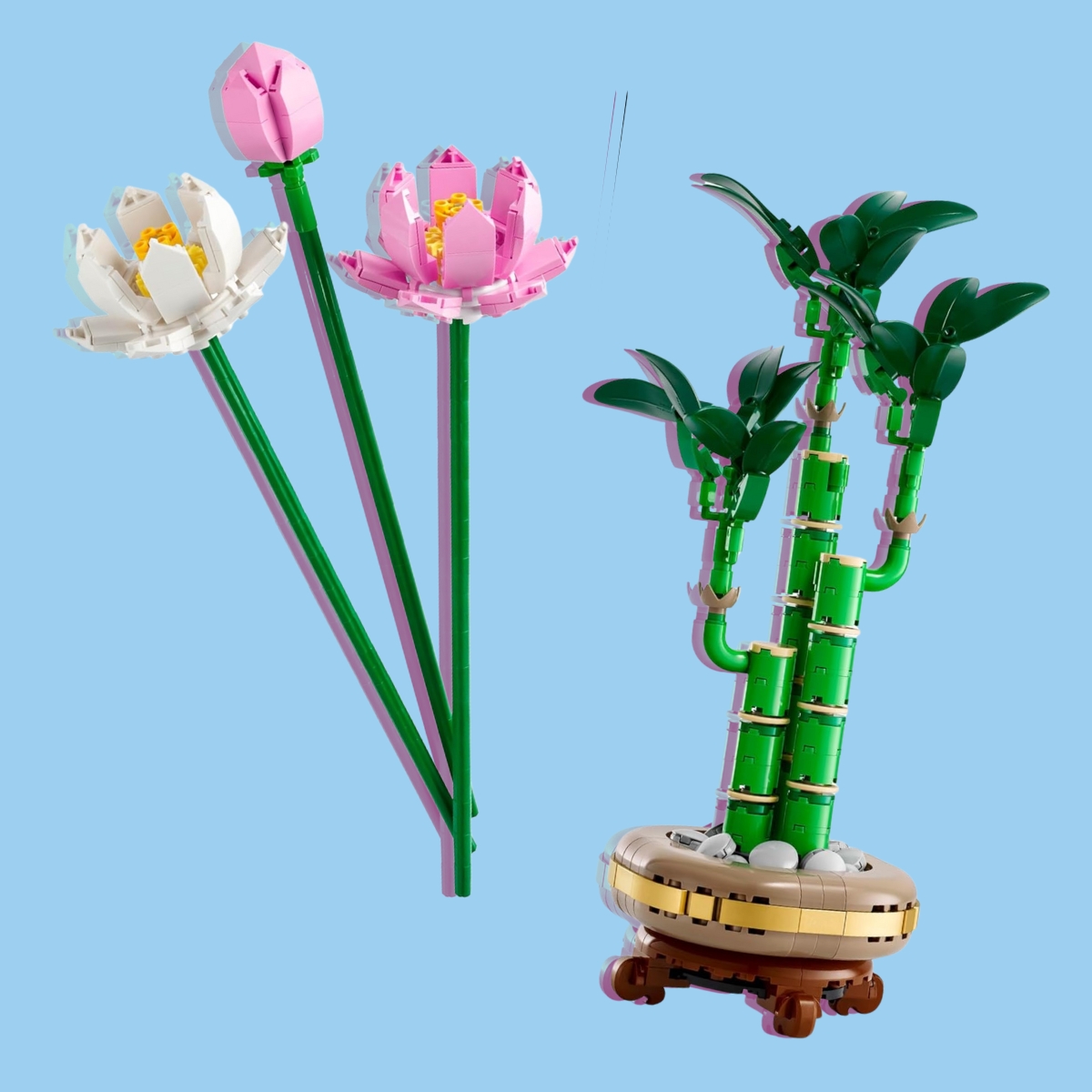 Botanicals & More at 