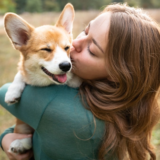 Best Prime Day Pet Deals thumbnail