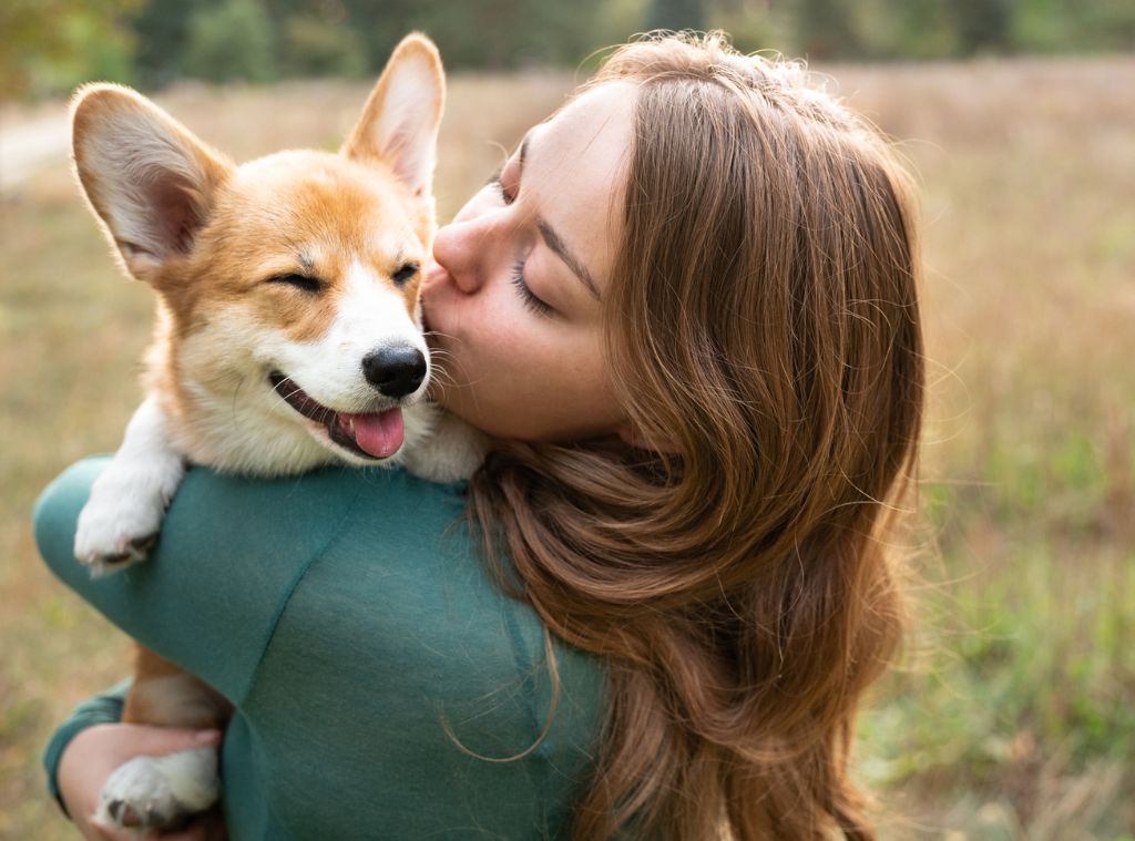 Best Prime Day Pet Deals main image