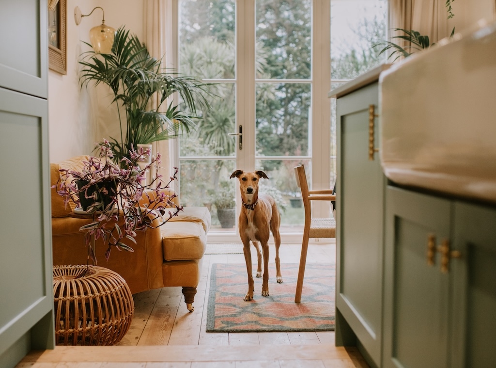 Nordstrom Anniversary Sale Luxury Home & Kitchen Deals: Anthropologie Volcano Candles, Le Creuset & More 11 nordstromtop.jpg