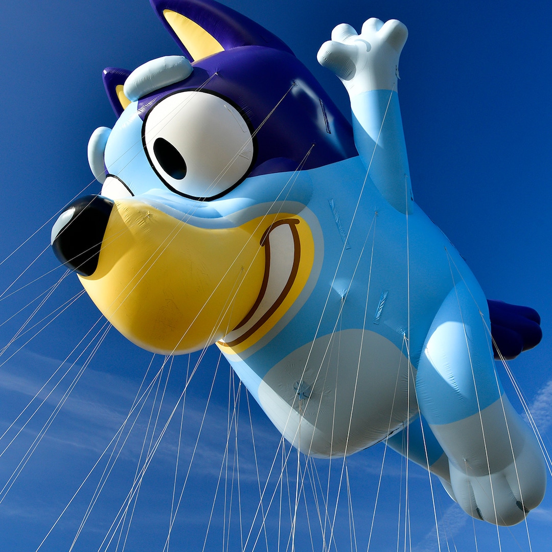 Why a Bluey Episode Was Temporarily Removed Why a Bluey Episode Was Temporarily Removed