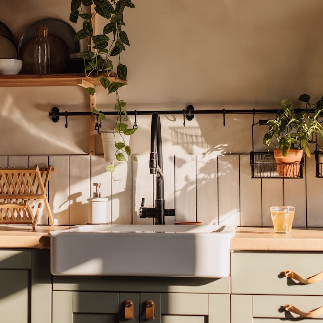 SHOP This $20 Amazon Insect Trap Saved My Kitchen thumbnail